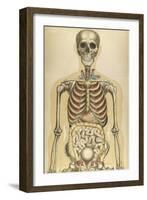 The Human Body with Superimposed Colored Plates by Julien Bougle-Stocktrek Images-Framed Art Print