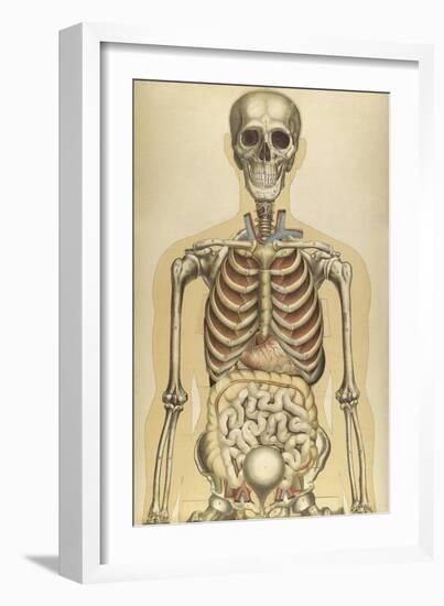 The Human Body with Superimposed Colored Plates by Julien Bougle-Stocktrek Images-Framed Art Print