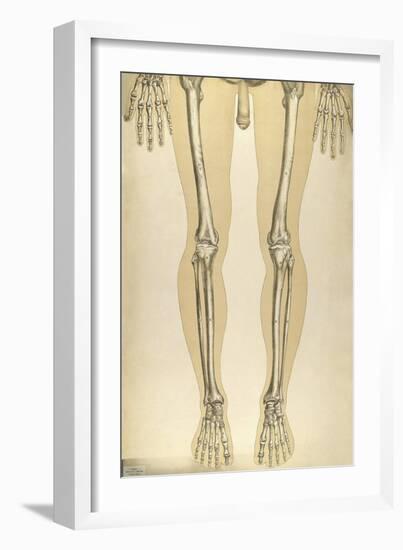 The Human Body with Superimposed Colored Plates by Julien Bougle-Stocktrek Images-Framed Art Print