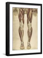 The Human Body with Superimposed Colored Plates by Julien Bougle-Stocktrek Images-Framed Art Print