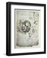 The Human Foetus in the Womb, Facsimile Copy-Leonardo da Vinci-Framed Premium Giclee Print