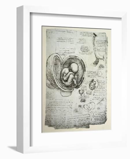 The Human Foetus in the Womb, Facsimile Copy-Leonardo da Vinci-Framed Premium Giclee Print