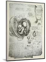 The Human Foetus in the Womb, Facsimile Copy-Leonardo da Vinci-Mounted Premium Giclee Print