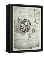 The Human Foetus in the Womb, Facsimile Copy-Leonardo da Vinci-Framed Stretched Canvas