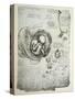 The Human Foetus in the Womb, Facsimile Copy-Leonardo da Vinci-Stretched Canvas