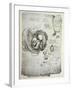 The Human Foetus in the Womb, Facsimile Copy-Leonardo da Vinci-Framed Giclee Print