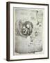 The Human Foetus in the Womb, Facsimile Copy-Leonardo da Vinci-Framed Giclee Print