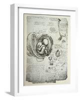 The Human Foetus in the Womb, Facsimile Copy-Leonardo da Vinci-Framed Giclee Print