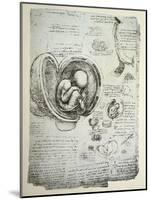 The Human Foetus in the Womb, Facsimile Copy-Leonardo da Vinci-Mounted Giclee Print