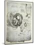 The Human Foetus in the Womb, Facsimile Copy-Leonardo da Vinci-Mounted Giclee Print