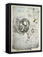 The Human Foetus in the Womb, Facsimile Copy-Leonardo da Vinci-Framed Stretched Canvas