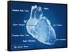 The Human Heart Blueprint-Digital Storm-Framed Stretched Canvas