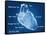 The Human Heart Blueprint-Digital Storm-Framed Stretched Canvas