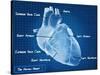 The Human Heart Blueprint-Digital Storm-Stretched Canvas