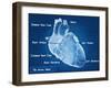 The Human Heart Blueprint-Digital Storm-Framed Art Print