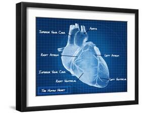 The Human Heart Blueprint-Digital Storm-Framed Art Print