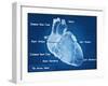 The Human Heart Blueprint-Digital Storm-Framed Art Print