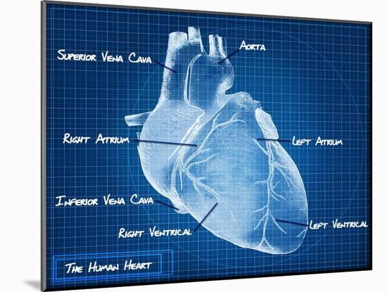 The Human Heart Blueprint-Digital Storm-Mounted Art Print