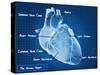 The Human Heart Blueprint-Digital Storm-Stretched Canvas