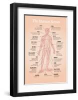 The Human Senses-Stephen Wildish-Framed Art Print