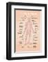 The Human Senses-Stephen Wildish-Framed Art Print