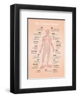 The Human Senses-Stephen Wildish-Framed Giclee Print