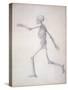 The Human Skeleton-George Stubbs-Stretched Canvas