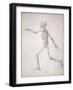 The Human Skeleton-George Stubbs-Framed Giclee Print