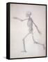 The Human Skeleton-George Stubbs-Framed Stretched Canvas