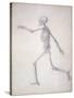 The Human Skeleton-George Stubbs-Stretched Canvas