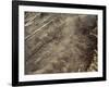 The Humming Bird Geoglyph, aerial view, Nazca, UNESCO World Heritage Site, Ica Region, Peru, South -Karol Kozlowski-Framed Photographic Print