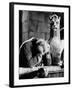 The Hunchback of Notre Dame, 1939-null-Framed Photographic Print