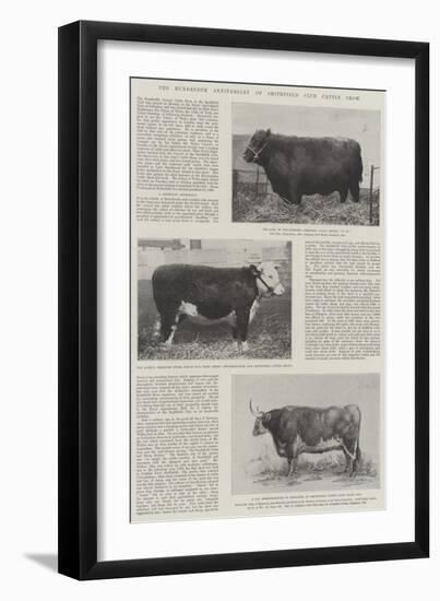 The Hundredth Anniversary of Smithfield Club Cattle Show-null-Framed Giclee Print