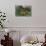 The Hungry Lion-Henri Rousseau-Mounted Art Print displayed on a wall