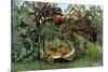 The Hungry Lion-Henri Rousseau-Mounted Art Print