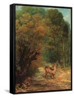 The Hunted Roe Deer on the Alert-Gustave Courbet-Framed Stretched Canvas