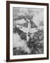 The Hunter Hawker Airplane-null-Framed Photographic Print