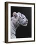 The Hunter-null-Framed Photographic Print