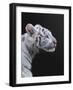 The Hunter-null-Framed Photographic Print