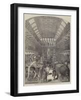 The Hunterian Museum, at the Royal College of Surgeons-null-Framed Giclee Print