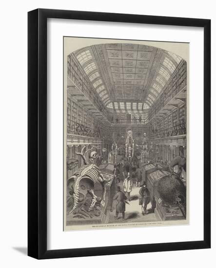 The Hunterian Museum, at the Royal College of Surgeons-null-Framed Giclee Print