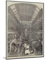 The Hunterian Museum, at the Royal College of Surgeons-null-Mounted Giclee Print