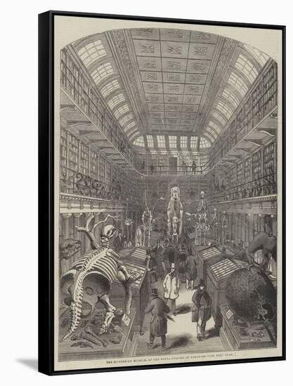 The Hunterian Museum, at the Royal College of Surgeons-null-Framed Stretched Canvas