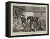 The Huntsman's Courtship-John Charlton-Framed Stretched Canvas