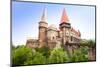 The Hunyad Castle. Medieval  Gothic-Renaissance Castle in Hunedoara (Transylvania).  Castelul Hunia-Aleksandar Todorovic-Mounted Photographic Print