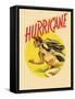 The Hurricane, 1937-null-Framed Stretched Canvas