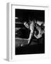 The Hustler, Paul Newman, 1961-null-Framed Premium Photographic Print