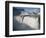 The Hvita River Roars Over Gullfoss Waterfall, Iceland-Don Grall-Framed Photographic Print