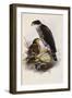 The Ibis, a Magazine of General Ornithology-null-Framed Giclee Print