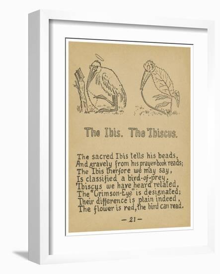 The Ibis. The 'ibiscus.-Robert Williams Wood-Framed Art Print